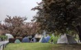 Praho, starej se o své Sillicon Valley, vyzvali studenti magistrát